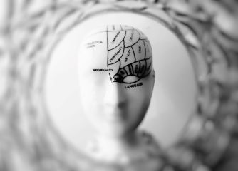 Neurobiología y psicoterapia: el circuito BAM